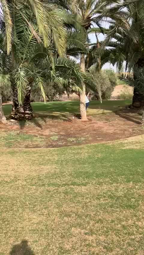 A moment on the Marrakech golf course
