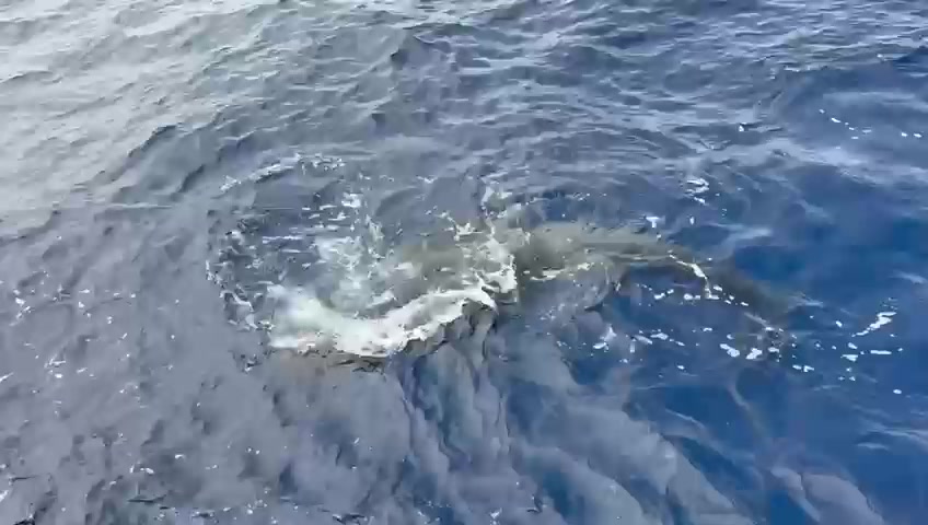 View from the boat out at sea